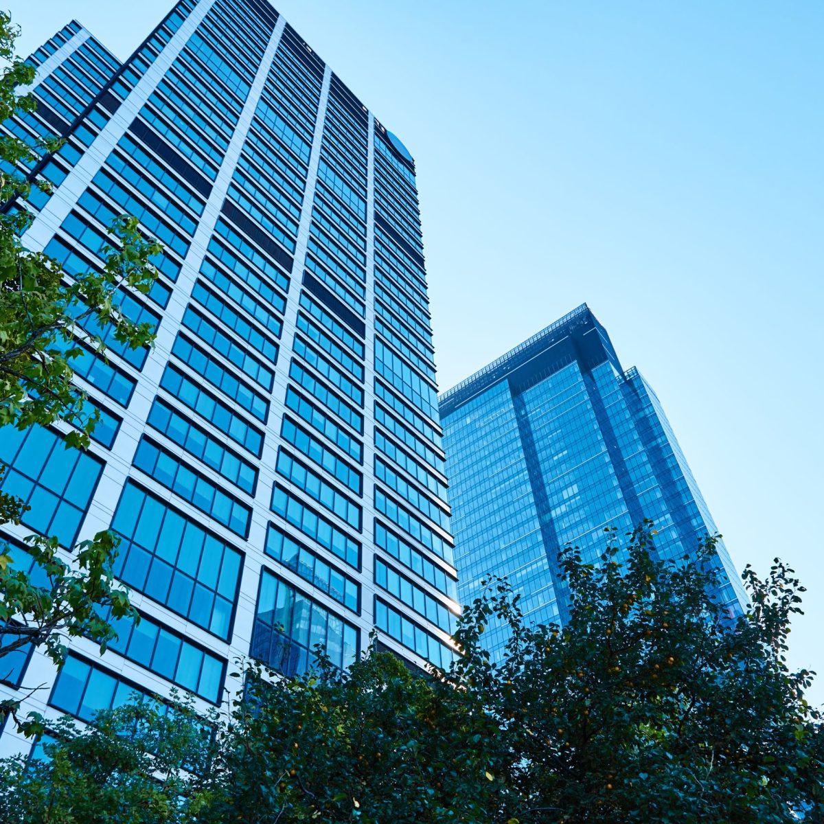 Glass facade of buiding with green trees, Modern office building in city for business corporation, Residential contemporary